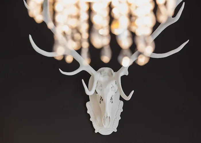 Dunna Nocleg ze śniadaniem 3*